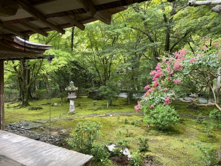 高山寺の庭