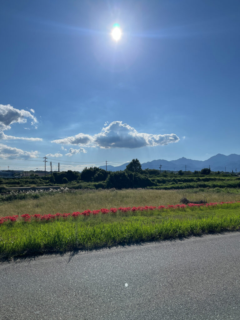 三重県菰野町　彼岸花が咲いてました。