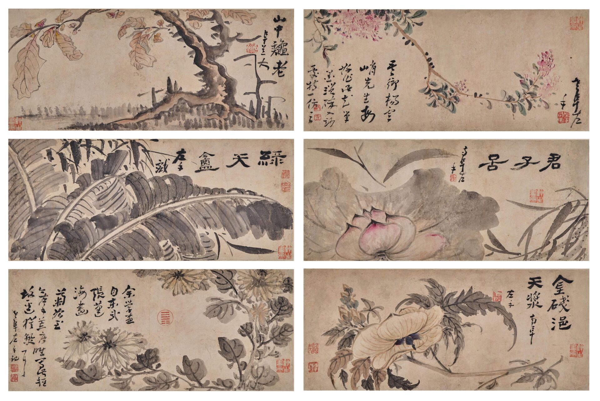高鳳翰 花卉圖冊